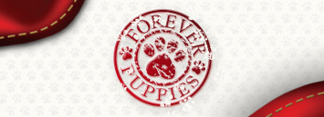 Forever-Puppies