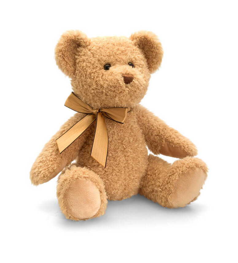 my teddy personalised teddies