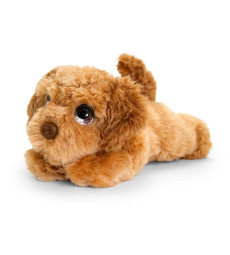 keel cuddle puppies