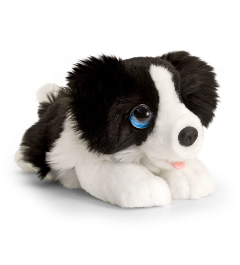 keel cuddle puppies